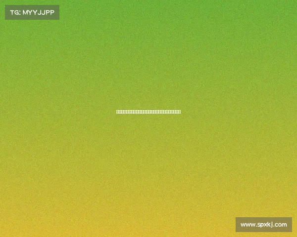 全国游泳赛事二零二四年度全面计划书详解与实施策略指南