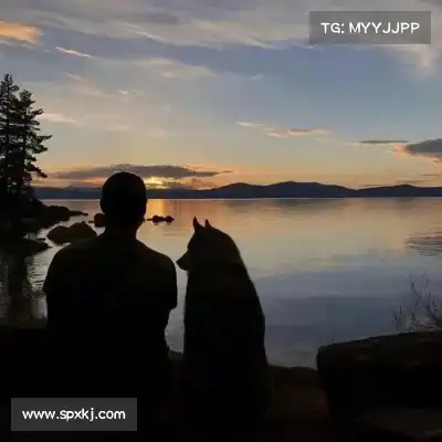 韶诚洁